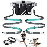 SHINE HAI Retractable Hands Free Dog Leash with Dual Bungees for 2 Dogs, Adjustable Waist Belt Fanny Pack, Reflective Stitching Leash for Running Walking Hiking Jogging Biking Black