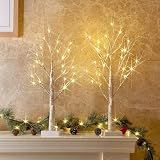 PEIDUO Christmas Decorations, 2FT Birch Tree with LED Lights, Warm White Light up Tree Lamp, Artificial Trees for Home Table Inside, Battery Powered, Timer (2PK)
