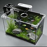 FS&AQ 2.5 Gallon Betta Fish Tank with Filter Light and Lid Small Aquarium Starter Kit Perfect for Desktops Offices or Beginners