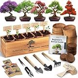 DIY Bonsai Tree Kit for Beginners – 5X Unique Japanese Bonzai Trees | Complete Indoor Bonsai Starter Kit for Growing Bonsai Plants with Tools & Planters – DIY Gardening Gifts for Women & Men