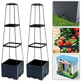 Biotolot 2 Packs Raised Garden Bed Tomato Planter Box with Trellis,44.8" Self-Watering Tomato Cage with Trapezoidal Trellis for Climbing Plants Flowers Vegetables Vine in Patio Garden Indoor Outdoor