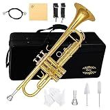 Glory Bb Trumpet, Brass Trumpet for Beginner & Student, Standard B Flat Trumpet with Carrying Case & Gloves, Gold