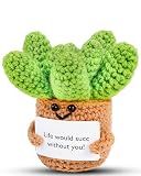 Crochet Positive Succulent Plant Thank You Gifts for Birthday Christmas