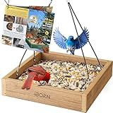 iBorn Platform Bird Feeder Tray, Chew Proof Bird Feeders for Outdoors Hanging, Flat Birdfeeder Tray with Large Capacity 3LBS, WPC Recycled Plastic & Cedar Look, Waterproof, 10.5"x10.5", Raw
