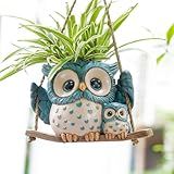 Swing Owl Hanging Planters for Indoor Plants, Cute Small Succulent Pots with Drainage Hole, Unique Resin Plant Hangers Outdoor, Hanging Plant Holder for String Of Pearls, Gift Ideas for Mother