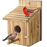NATUREYLWL Wooden Bird House for Outside, Hanging Natural Wood Birdhouse with Perch, 1.57" Entrance & Side Clean-Out Door for Bluebirds, Wrens and Finches, Garden Decor