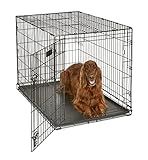 MidWest Homes for Pets 42-Inch iCrate Folding Dog Crate with Divider Panel, Leak-Proof Tray & Secure Latches – Metal Wire Kennel for Large Breeds – Portable, Durable & Easy to Assemble