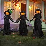 Evergreen Set of 3 LED Halloween Black Witches with Hats Stakes | 4 Feet Tall | Outdoor Safe | Weatherproof Battery Operated | Spooky Garden Statue Decoration Grass Lawn or Patio