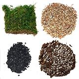 TerraGreen Creations Succulent Planter Kit - Terrarium Kit with Succulent Soil, Gravel, Pebble, Moss,