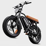 ciloovy Electric Bike for Adults, 750W Peak Motor 28 MPH 50Miles, Fat Tire Ebike with 48V Removable Battery 20"x4.0" ebikes for Adults Hydraulic Suspension and 7-Speed, All-Terrain Unisex ebikes