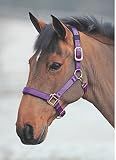 Shires Topaz Nylon Halter with BREAEKAWAY (Purple, Cob)