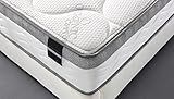 Oliver Smith - Organic Cotton - 10 Inch - Perfect Sleep - Comfort Plush Euro Pillow Top - Cool Memory Foam & Spring Mattress - Green Foam Certified - Queen
