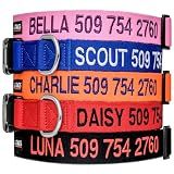 GoTags Personalized Dog Collar, Custom Embroidered with Pet Name and Number