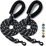 2 Pack Dog Leash, Heavy Duty Nylon Rope Pet Leashes (5FT-1/2,Black/Black)