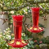 Gbekery 10 OZ Glass Hummingbird Feeders for Outdoors Hanging - Red 2 Pack, Ant & Bee Proof and 6 Feeding Ports, Garden Yard Décor Gifts for Mom