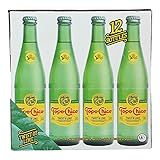Topo Chico Water Sparkling Lme 12Pk 144 FO