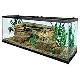 Tetra Complete LED Aquarium Kit for Fish, 55 Gallons, Includes White LED Lights, Filter, Heater and Accessories