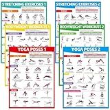 gisgfim 6PCS Workout Posters for Home Gym-Yoga Poses, Stretching and Bodyweight Exercise Charts Yoga Positions Poster Full Body Laminated Fitness Training Guide for Beginners Garage Wall Decor