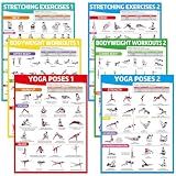 gisgfim 6PCS Workout Posters for Home Gym-Yoga Poses, Stretching and Bodyweight Exercise Charts Yoga Positions Poster Full Body Laminated Fitness Training Guide for Beginners Garage Wall Decor