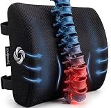 Samsonite Lumbar Support Pillow for Office Chair, Lower Back Support for Car, Back Pillow Desk Chair Cushion with Memory Foam, Improved Posture Backrest