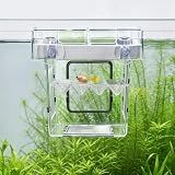 BaoZqua Aquarium Breeder Box for Fish Tank, 316 Stainless Mesh Fry Nursery