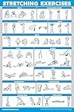 Palace Learning QUICKFIT Stretching Workout Exercise Poster - Stretch Routine (Laminated, 18" x 24")