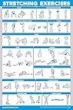 Palace Learning QUICKFIT Stretching Workout Exercise Poster - Stretch Routine (Laminated, 18" x 24")