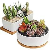 DeeCoo Succulent Pots, White Ceramic Flower Succulent Planters Pot with Bamboo Tray, 1 Rectangle Flower Pot + 1 Round Flower Pot 6.5" Drainage Hole for Cactus