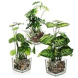 MyGift Set of 3 Fake Plants, Small Artificial Potted Plants Indoor in Clear Glass Pot, 9.5 Inch Faux Plant for Home Decor