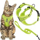 Voyager Escape-Proof Step-in Lock Cat Harness & 5ft Neoprene-Handle Leash Set All-Weather Mesh with Reflective Stitching for Small to Large Cats by Best Pet Supplies, Lime (327), S