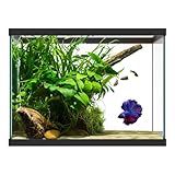 SubstrateSource 20 Gallon Glass Aquarium - 24 x 12.5 x 17.25 in - Large Clear Rectangular Rimmed Freshwater/Saltwater Fish Tank for Betta, Goldfish, Guppy, Shrimp for Home or Office Aquascaping