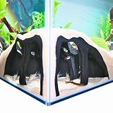 Aquarium Corner Underground Cave Natural Mangrove Tree | Viewing Fish Under Gravel Tunnel Hide | Fish Tank Hideout Decor Decoration Enrichment for Corydora Catfish, Kuhli Loach, Pleco, Betta