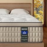BedStory Firm Queen Mattress 14 inch - Pain-Relieving Hybrid Mattress for Extra Lumbar & Hip Support - 365-Night Trial No Sagging Bed in a Box - No Odor, Fiberglass-Free, CertiPUR-US Certified