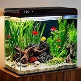 Coospider 20 Gallon Glass Fish Tank, Aquarium Starter Kit, Simple Self-Cleaning Aquarium with 3-Color LED Lights, with Quiet Filter Pump, with Temperature Monitoring for Fish, Shrimp, Kids Gift Ideas