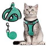 FAYOGOO Escape Proof Cat Harness and Leash Set for Walking, Secure-Fit Step-in Cat Vest Harness, Soft & Lightweight for Kittens and Large Cats