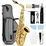 Eastar Upgraded Alto Saxophone E Flat for Beginner Students Brass Sax Full Kit, Travel Bag, Foldable Stand, Cleaning Kit, Golden Lacquer, EAX-21