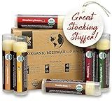 Earth's Daughter USDA Organic Lip Balm 6-Pack Stocking Stuffers - Fruit Flavors, Beeswax, Coconut Oil, Vitamin E - Best Lip Repair Chapstick for Dry Cracked Lips - Moisturizing Lip Care