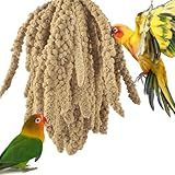 ERKOON 1.5LB Spray Millet Treat, All Natural Sun-Dried Healthy Treat Parrot Food Bird Snack for Parakeets, Lovebirds, Cockatiels, Finches, Budgies, Canaries Hamster, Bird Food Bulk