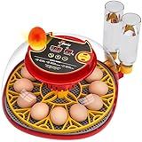 Incubator for Hatching Eggs,Automatic Turning,Temperature and Humidity Control Display,360° Viewing for Chicken, Duck, Quail Eggs, Ideal for Farm, Classroom, Home Use,2025 Upgraded 12 Egg Incubators
