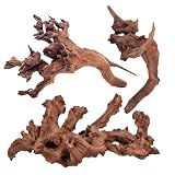 WDEFUN 3 PCS Natural Driftwood for Aquarium Decor Fish Tank Decorations