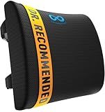 Everlasting Comfort Lumbar Support Pillow for Office Chair - Memory Foam Back Cushion for Chair, Car, Couch - Lumbar Pillow Promotes Better Posture, Back Pain Relief - Ideal for Gaming and Desk Chairs