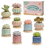8 Pcs Succulent Pots with Ice Crack Glaze, 2 Shapes & 8 Colors Ceramic Succulent Planters with Drainage Holes & Bamboo Saucers, Indoor Plant Pots for Home Garden，Desk Decor, Office Decor, Gift Idea