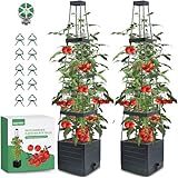 MQFORU 2 Packs Raised Garden Bed Tomato Planter with Trellis, 57" Tomato Cages for Climbing Vegetables Plant, Self Watering Planters Box for Garden Pots for Patio Greenhouse Indoor Outdoor（2PCS）