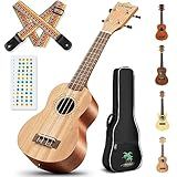 CAHAYA 21 Inch Ukulele Mahogany Beginner Kit Soprano Ukelele with Gig Bag Rainbow Strap Fretboard Stickers for Both Adults and Kids Professional Hawaiian Ukalalee Gifts CY0068