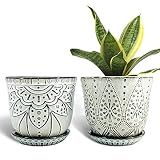 Gepege Ceramic Plant Pots, 6 Inch Indoor Planters with Drainage & Saucers