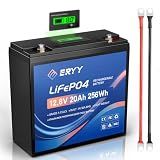 ERYY 12V 20AH(22Ah) LiFePO4 Lithium Battery with 30A BMS and LCD Voltmeter