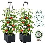 2 Pack Raised Garden Bed Planter Box with Trellis, 57'' Self Watering Tomato Planters for Climbing Plants, Tomato Cage Trellis for Vegetables & Vine Flowers Indoor Outdoor Patio