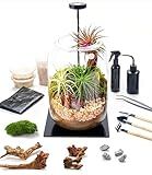 Terrarium Kit with Grow Light – 24-Piece DIY Glass Terrarium Set with Tools, Moss, Driftwood, Soil & Pebbles – Mini Gardening Kit for Air Plants, Succulents & Indoor Desk Decoration Gift