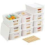 10 Pack Small Plastic Storage Bins with Lids, Stackable Plastic Storage Baskets for Organizing with Handles, Organizer Bins with Labels for Room, Craft, Containers for Pantry Organizers and Storage