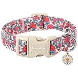 Lionet Paws Floral Dog Collar- Cute Red Pink Flower Dog Collars with Plastic Buckle, Light Adjustable Dog Collars for Medium Dogs